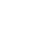 Project Execution